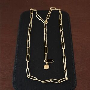 Bryan Anthony’s 14k Gold Finish Paperclip Chain Necklace